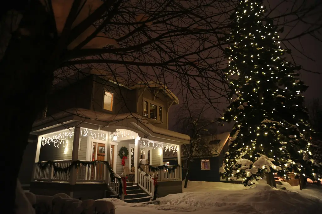 Snowy front porch with lit railings and a towering evergreen wrapped in warm white lights